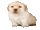 #12955