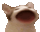 #4538